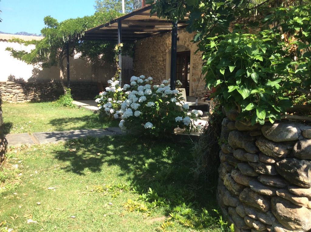 Residence De Tourisme Le Clos Des Vendanges モリアニ・プラージュ エクステリア 写真